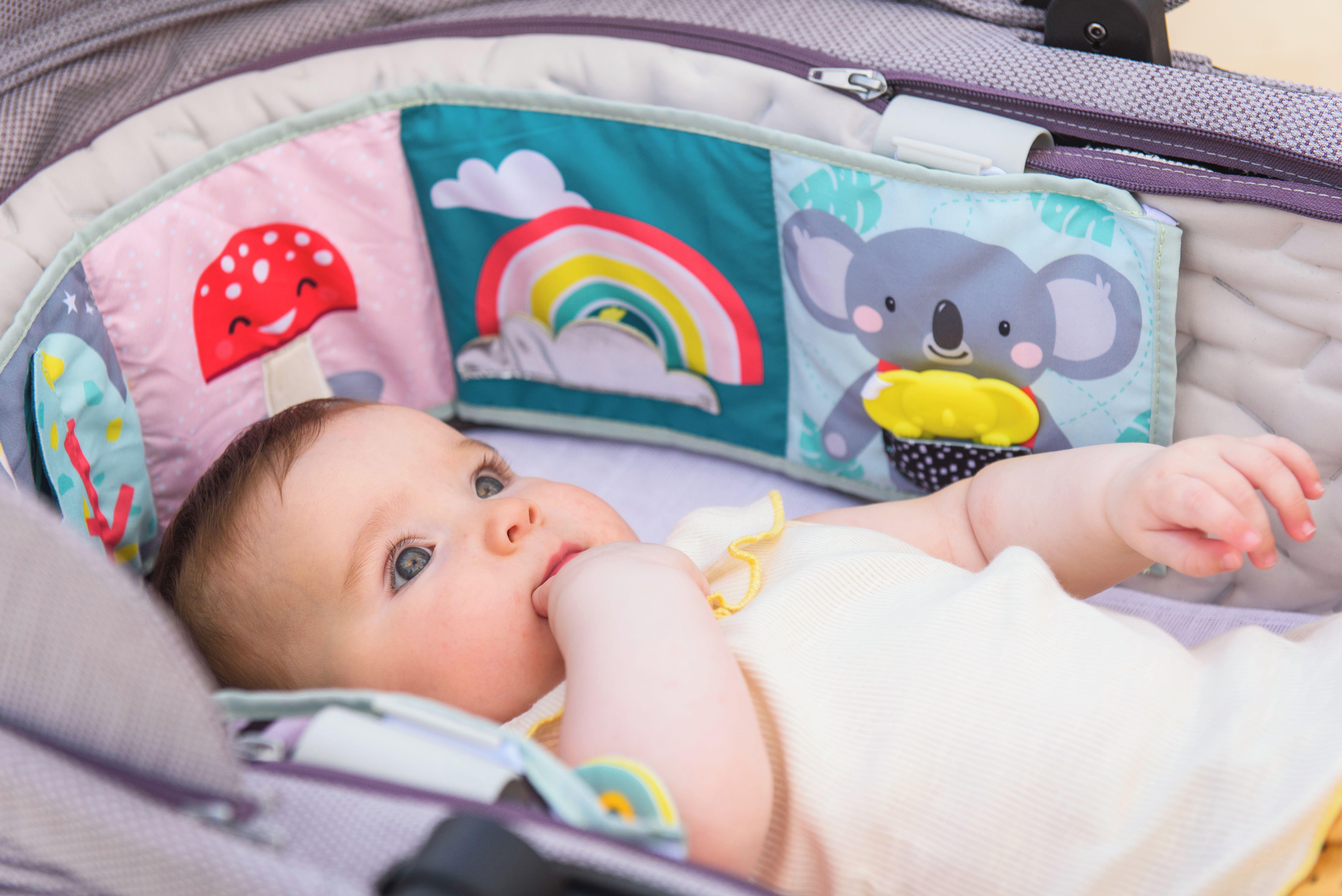 Taf Toys Koala Clip On Pram Book