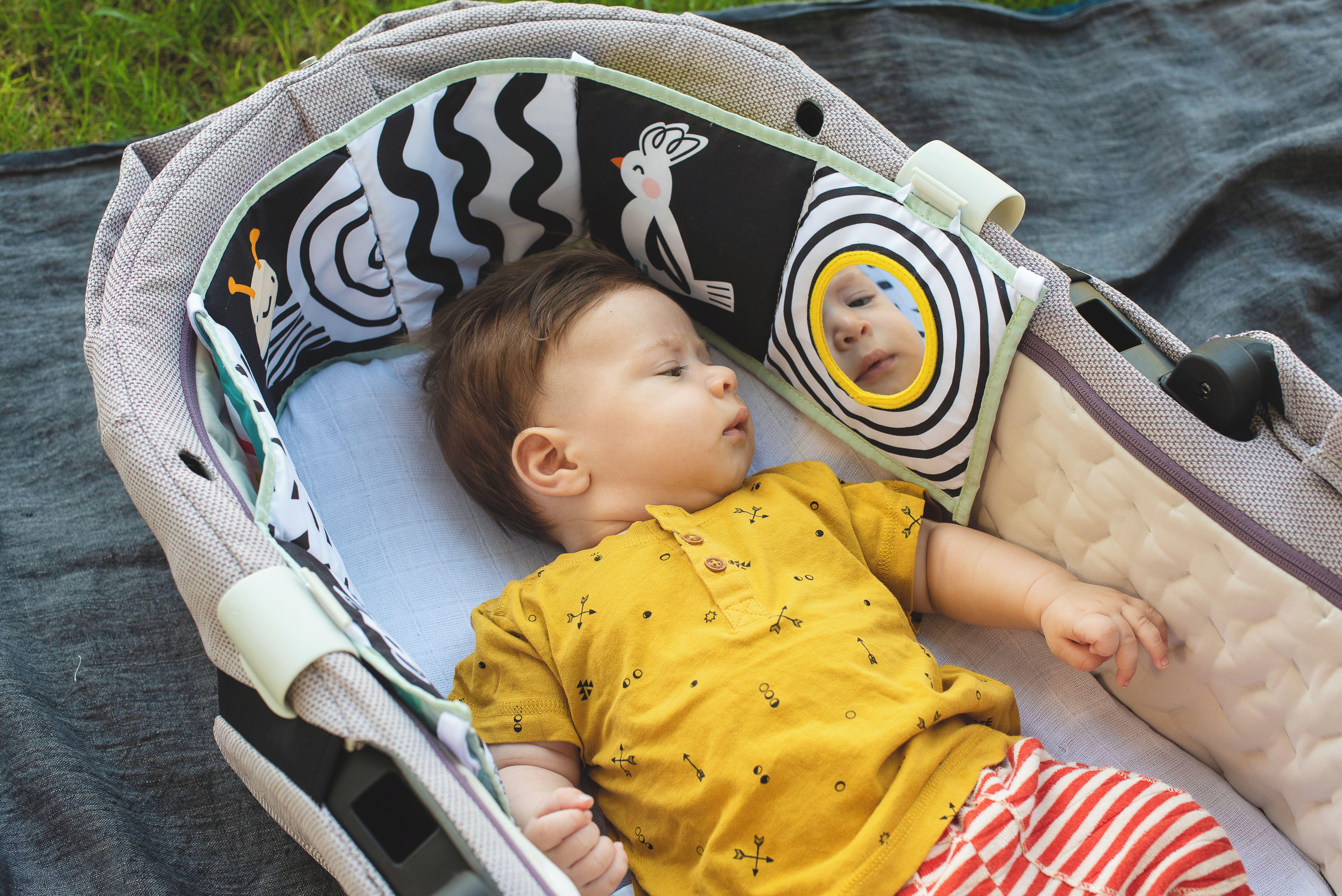 Taf Toys Koala Clip On Pram Book