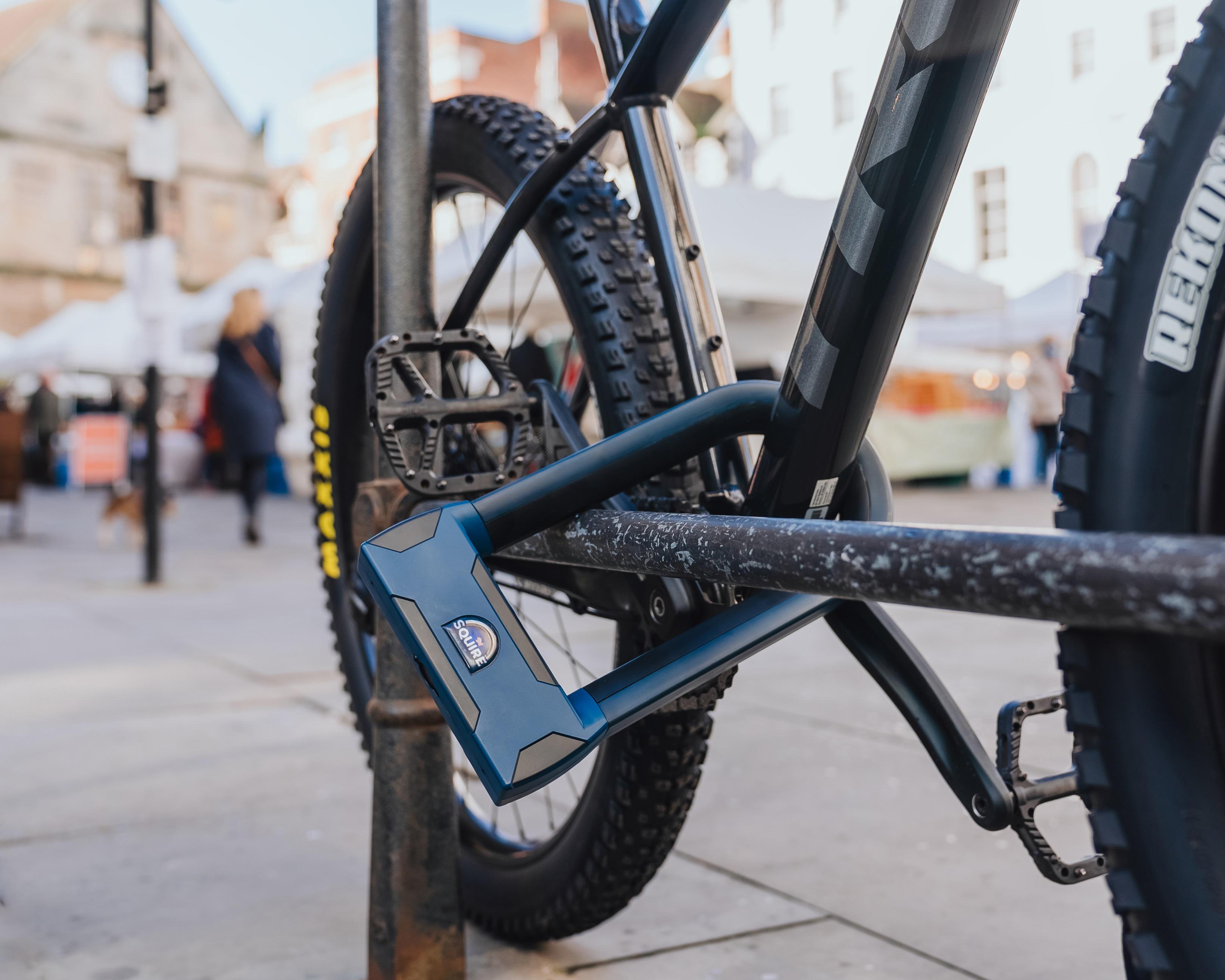 Squire Stronghold 16mm D Lock