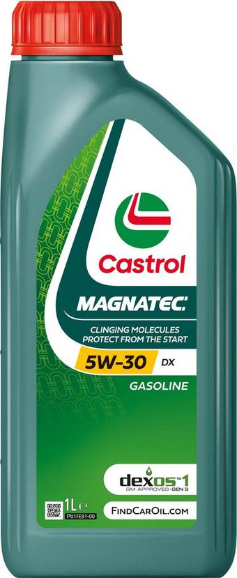 Castrol MAGNATEC 5W-30 DX 1L