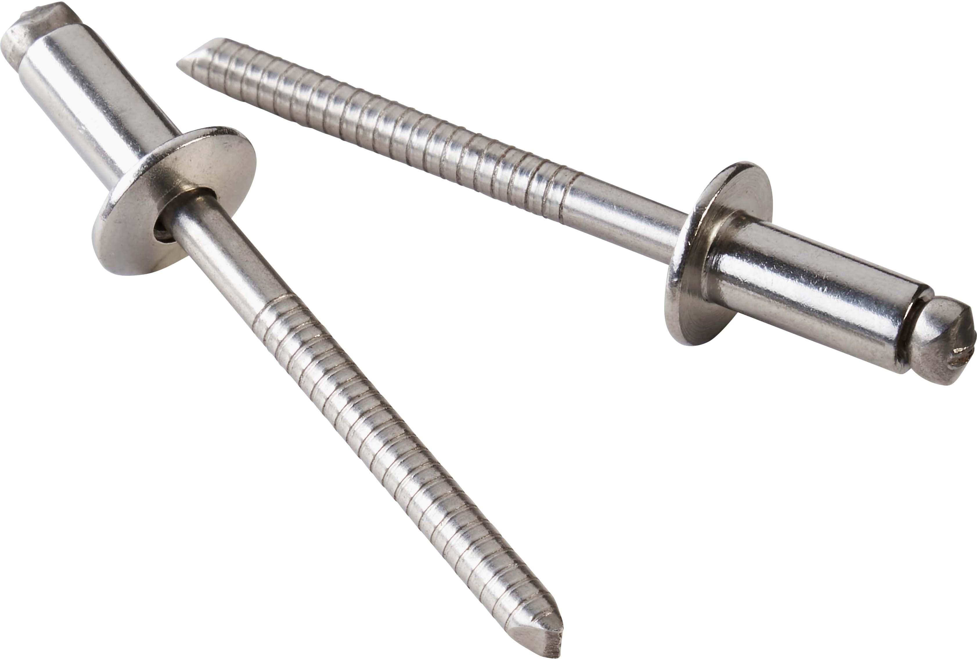 Halfords Stainless Steel Rivets 5mmx10mm (FIXG269)