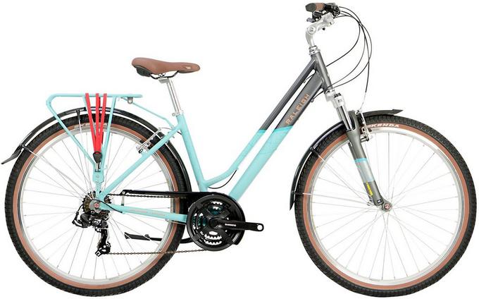 Raleigh savanna hot sale ladies bike