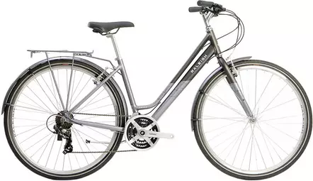 Ladies raleigh best sale pioneer trail bike