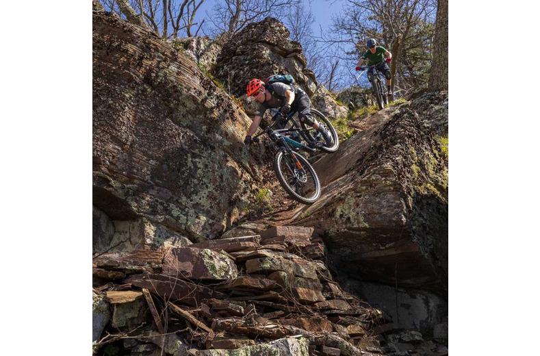 Stans NoTubes Flow S2 29" Front Wheel Stans NoTubes Flow S2 29" Front Wheel