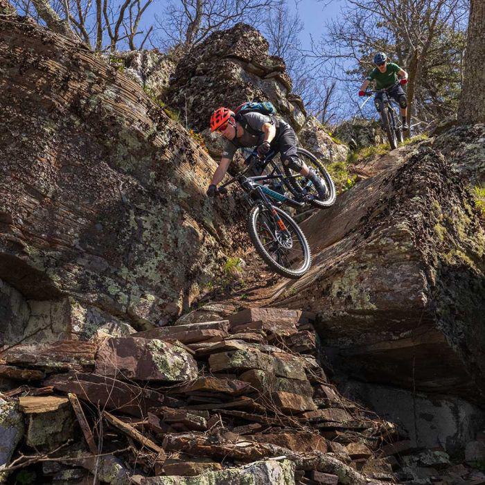 Stans NoTubes Flow S2 29" Rear Wheel