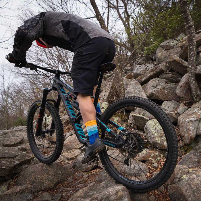 Stans NoTubes Flow S2 29" Rear Wheel