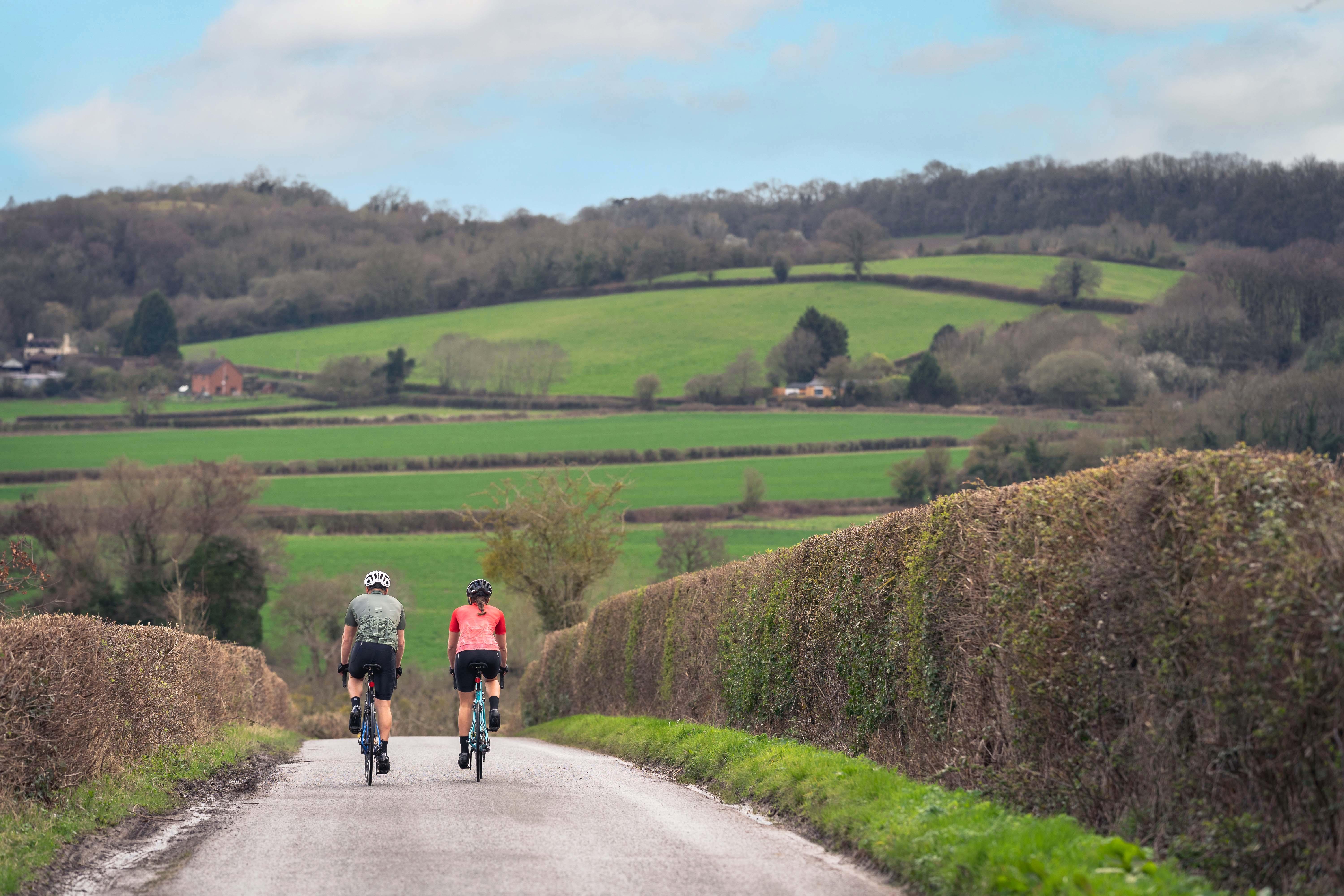 Boardman Mens Cycling Jersey, Green