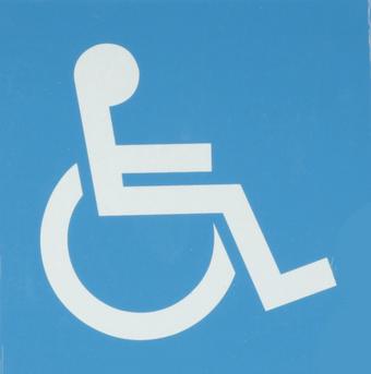 Halfords Disabled Sticker