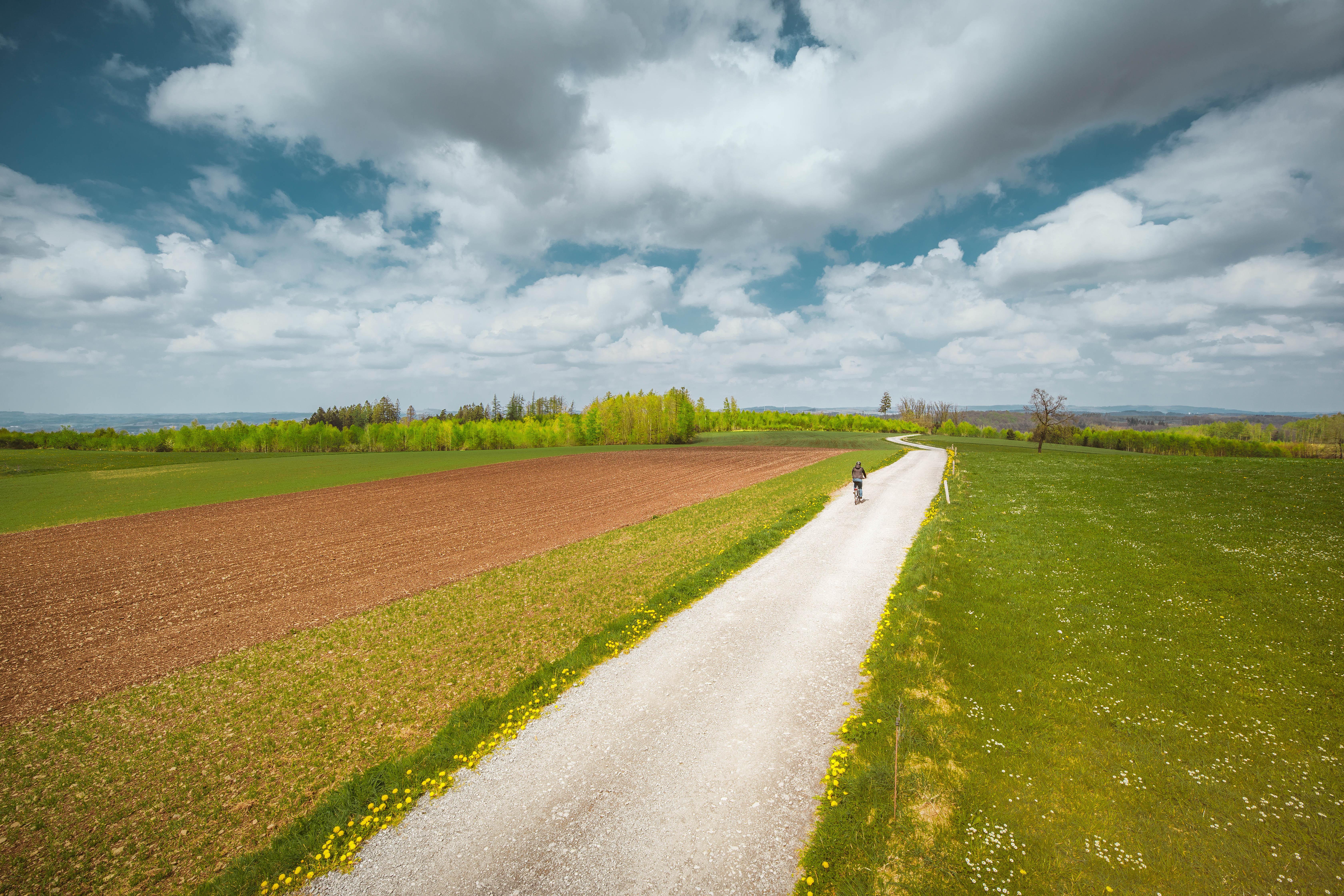 Schwalbe Marathon Plus Bike Tyre