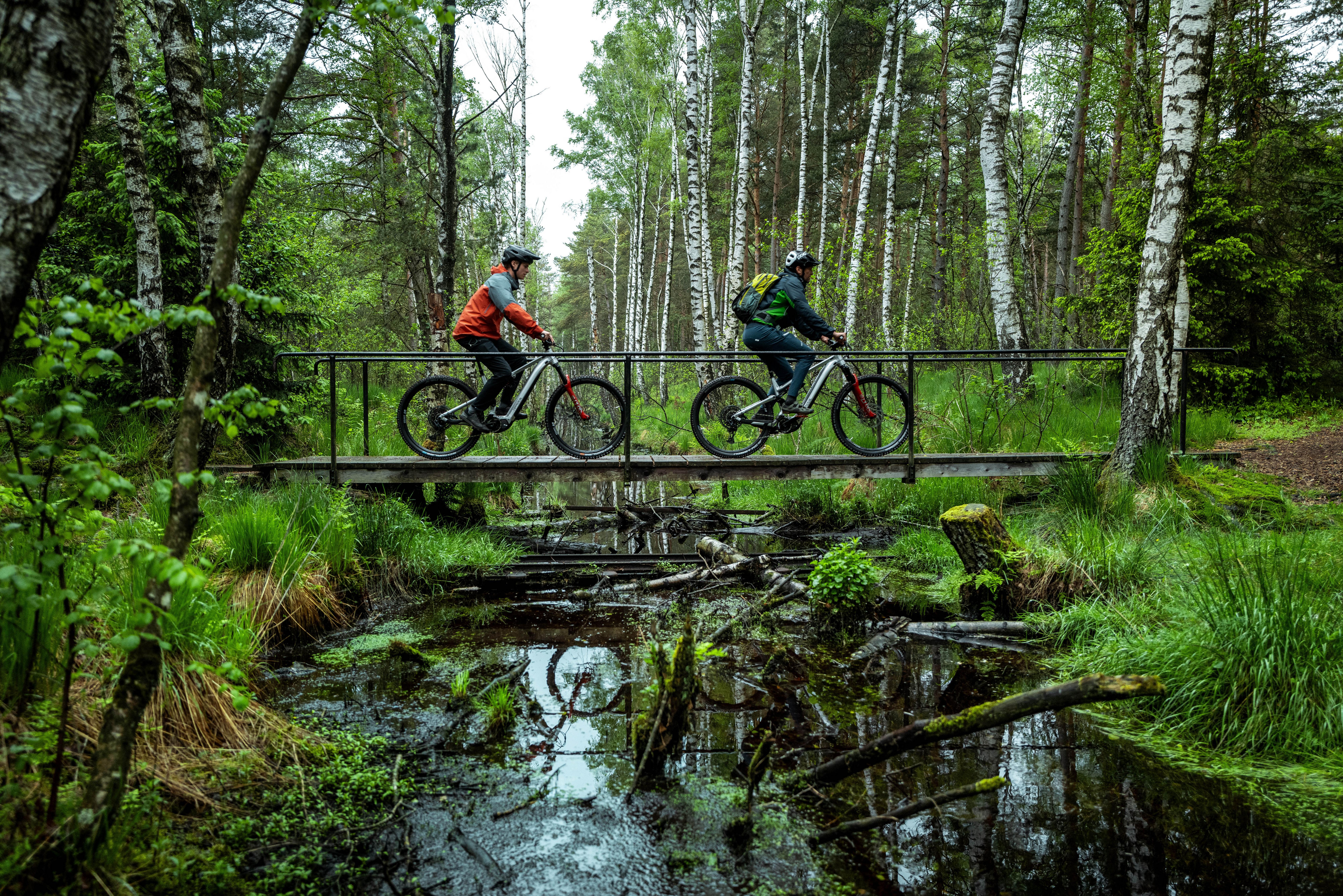 Schwalbe Magic Mary BikePark MTB Wired Tyre 29x2.40" Black