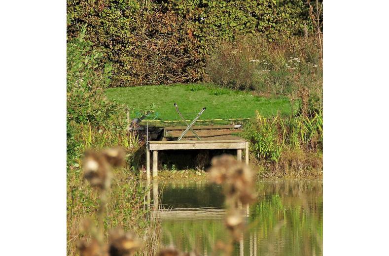 Leisurewize Walking Stick Seat Leisurewize Walking Stick Seat