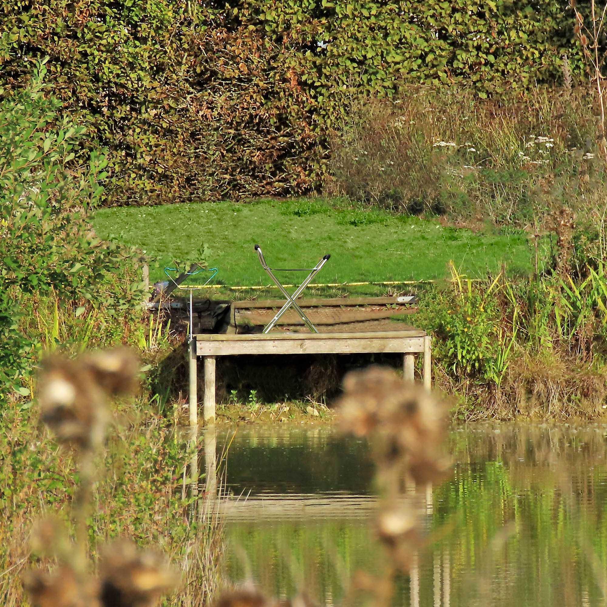 Leisurewize Walking Stick Chair - Blue