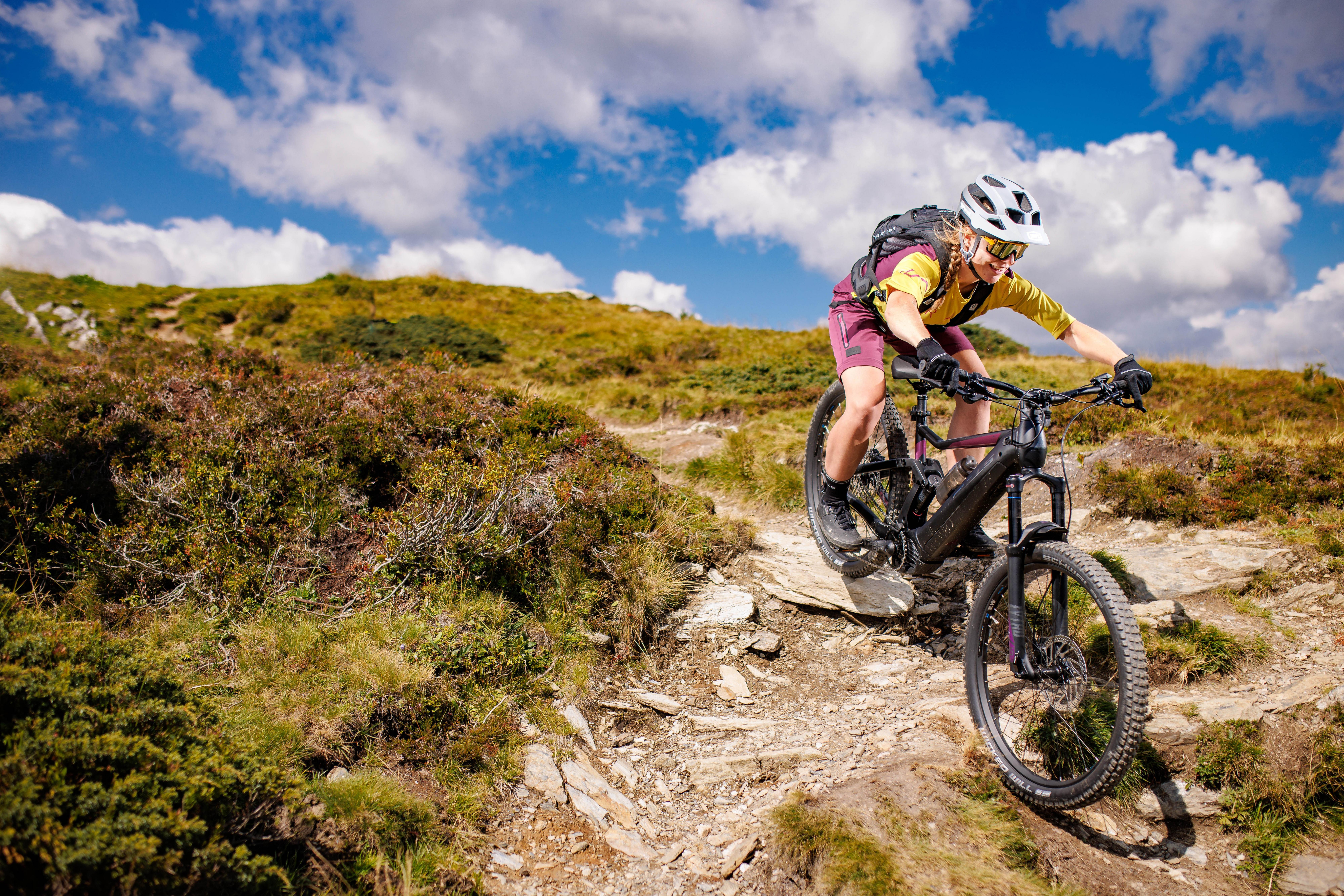 Schwalbe Wicked Will Performance Tube MTB Tyre 27.5x2.25" Black