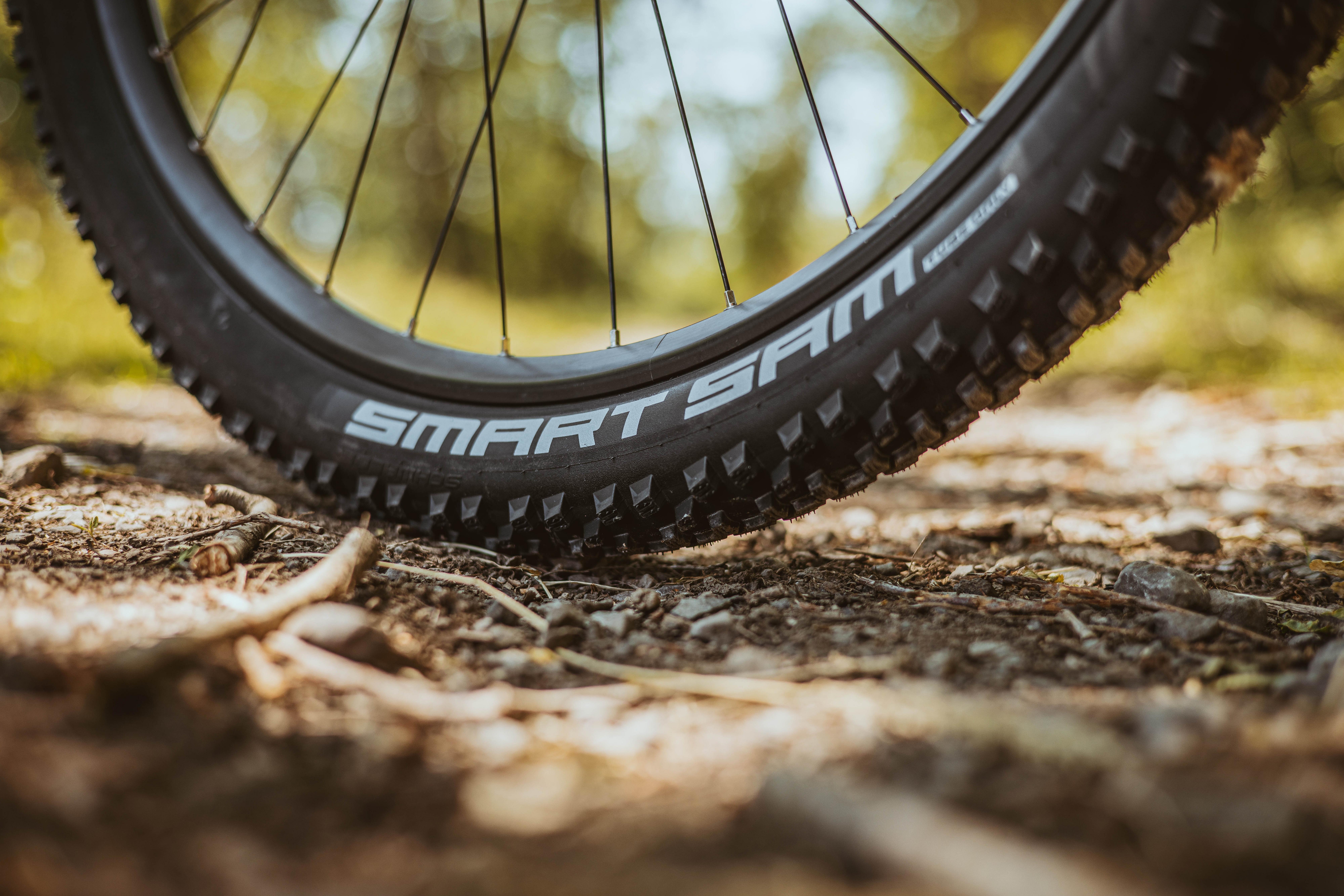 Schwalbe Smart Sam Performance Wired Bike Tyre