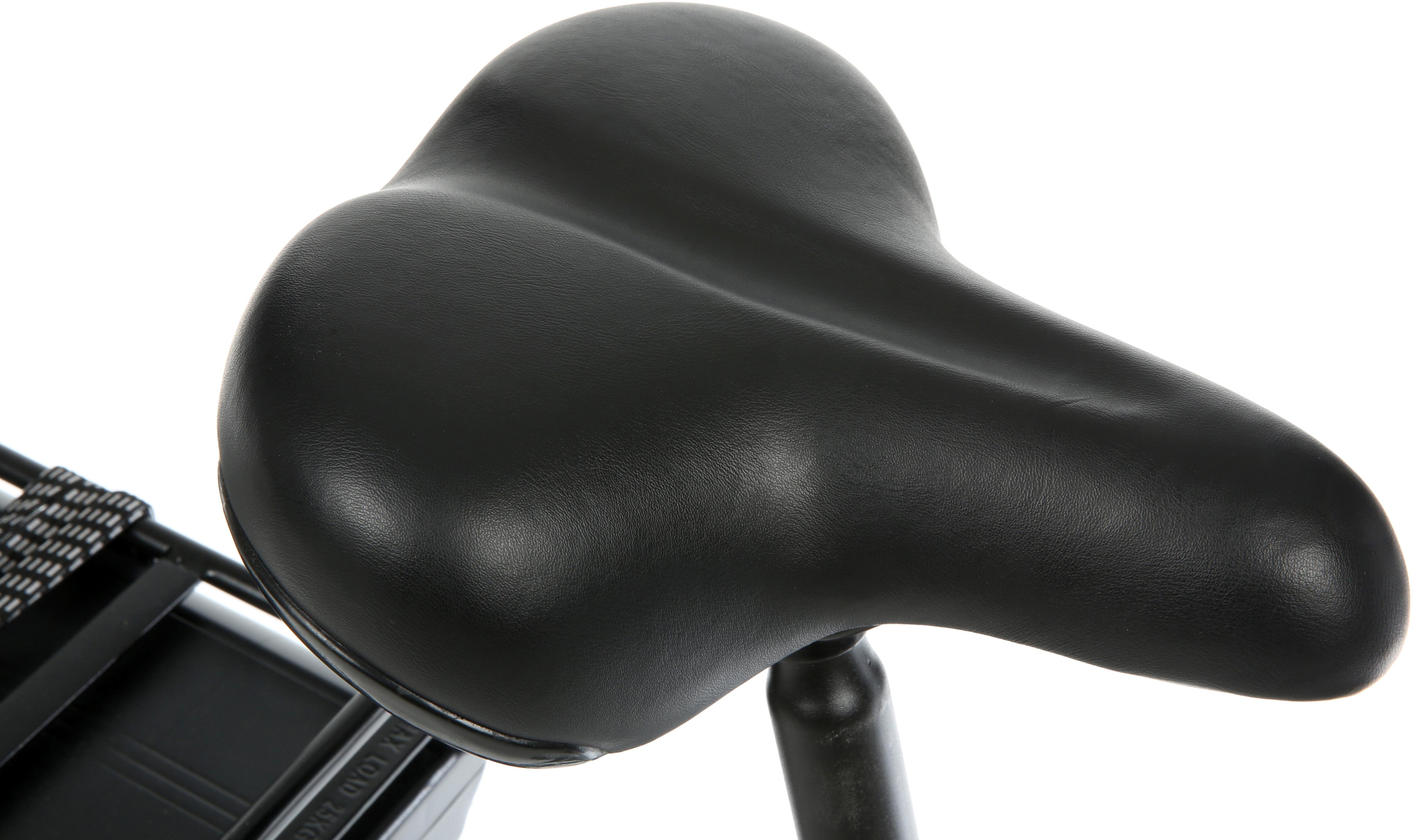 Assist Hybrid Electric Bike - 20" Wheel
