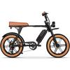Electric Bikes