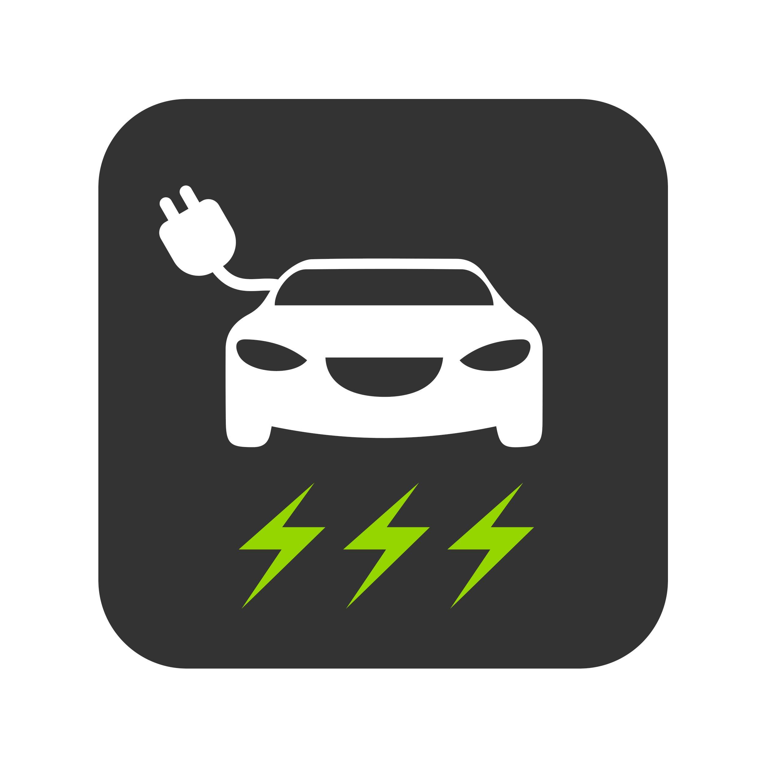 Major EV Service