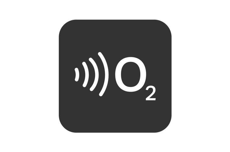 O2 Sensor Clean O2 Sensor Clean