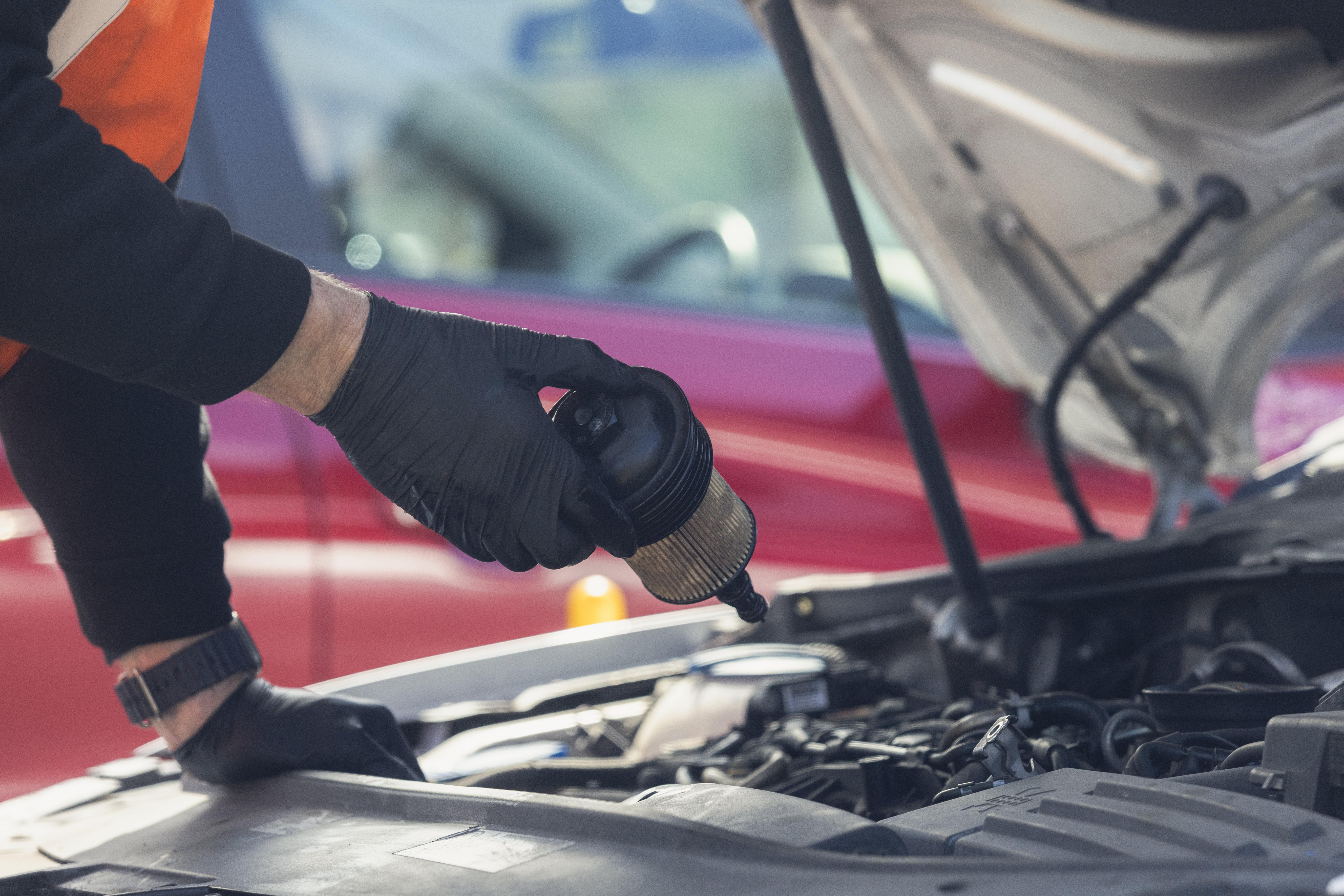 Oil and Filter Change