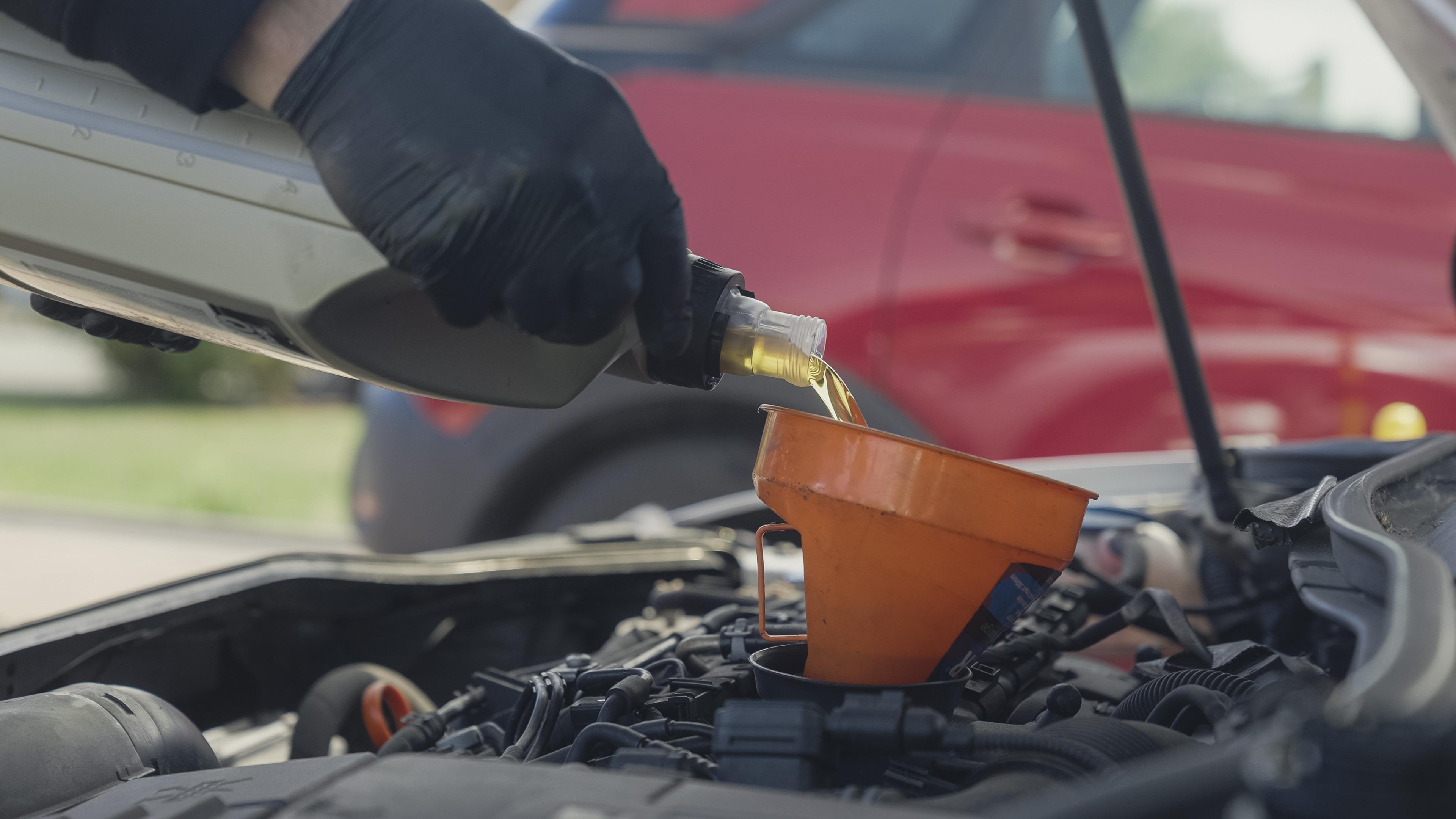 Oil and Filter Change