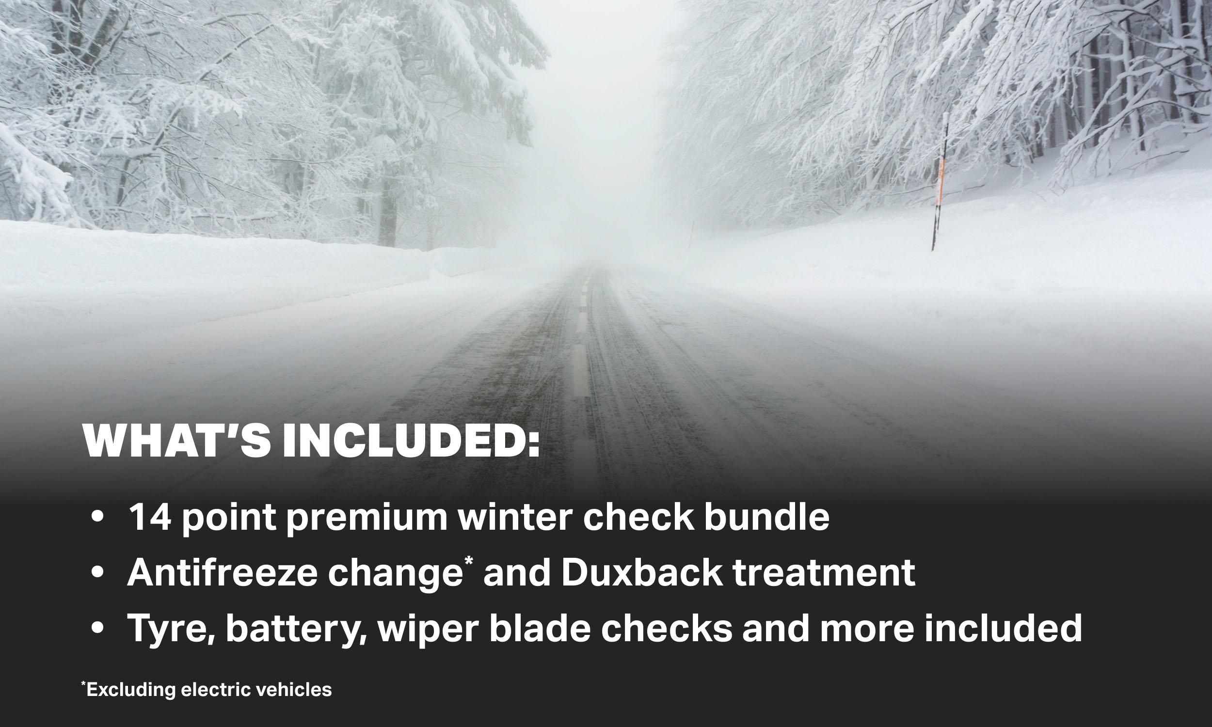 Winter Preparation Service