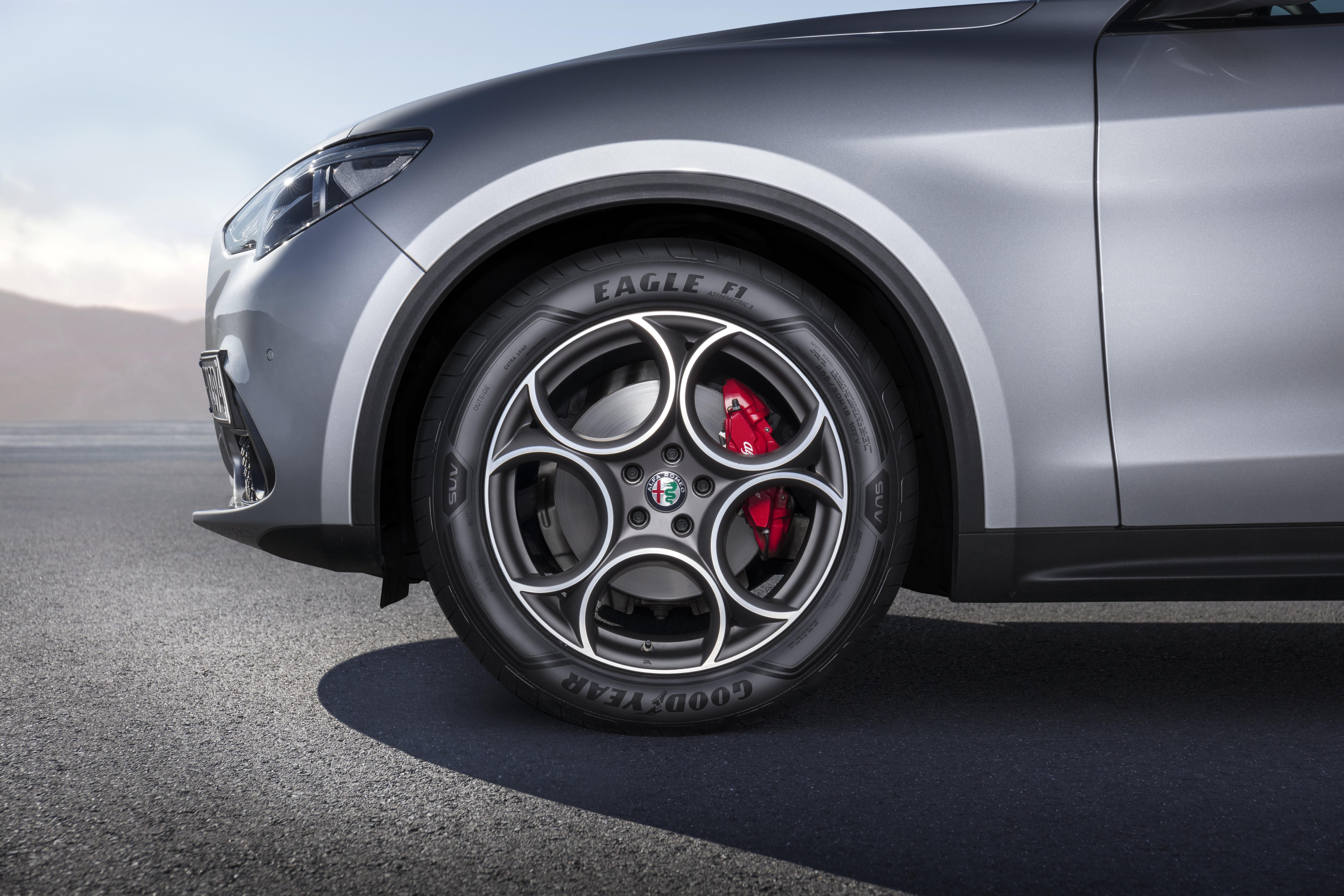 Goodyear Eagle F1 Asymmetric SUV (255/55 R18 109V) FP XL *BMW