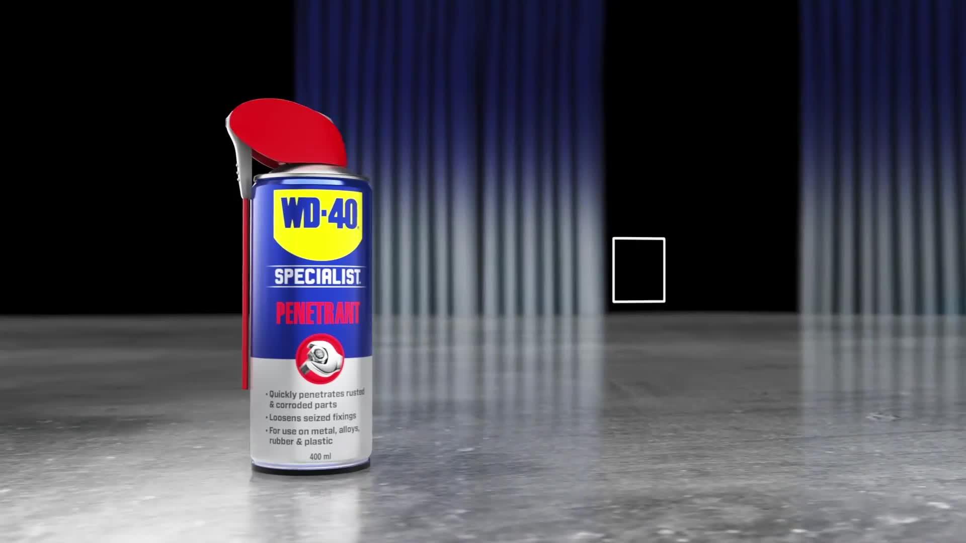 WD-40 Specialist Fast Release Penetrant 250ml