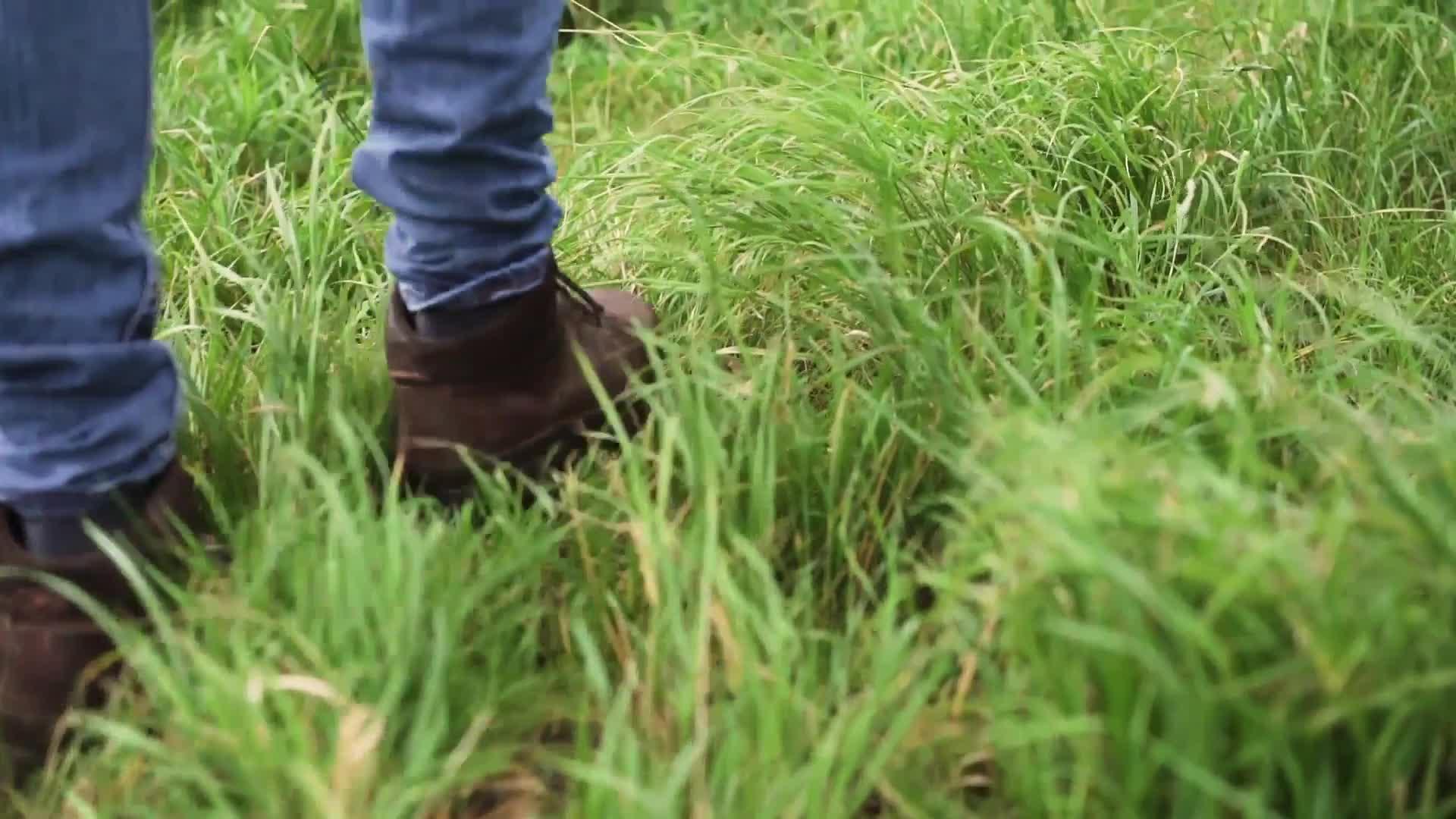 Olpro Orion 6 Person Tent