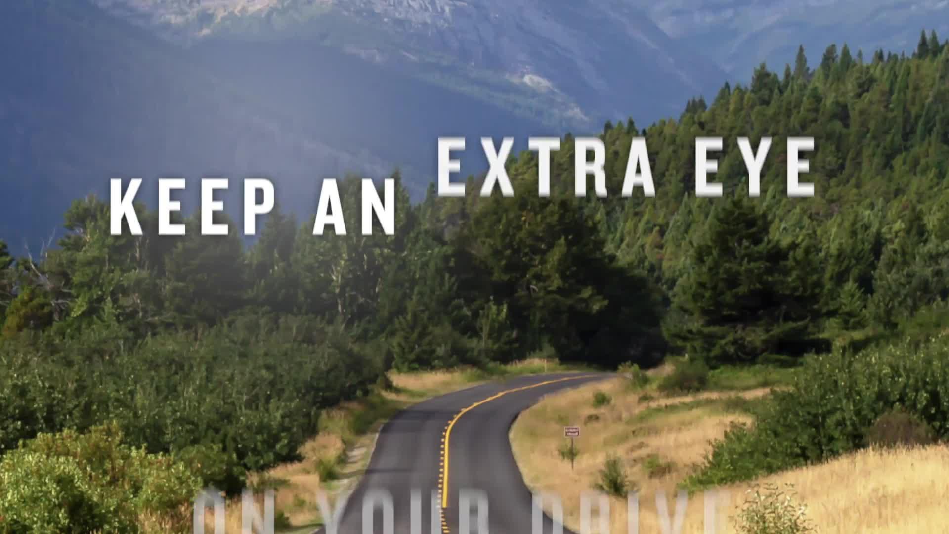 Garmin DriveCam 76 Sat Nav & Dash Cam